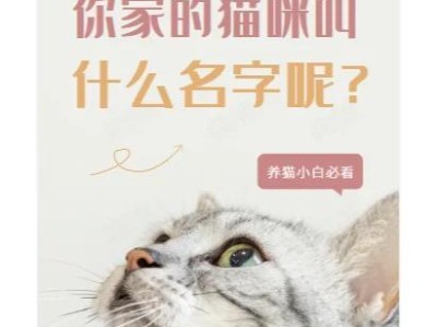 可爱的小猫有哪些好听的名字？（小猫名字大全，为你的宠物寻找一个独特的称呼）