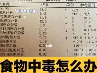 如何应对宠物猫食物中毒问题（给宠物猫食用什么食物可以解毒？）