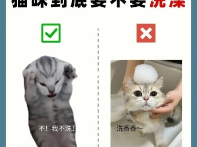 猫咪怀孕多久后可以洗澡？（猫咪洗澡的适当时机和注意事项）