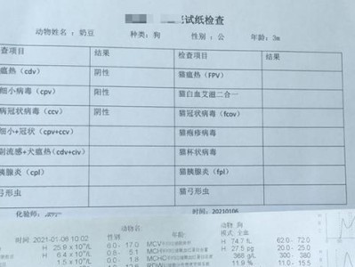揭秘狗狗细小背后的“人药”秘密（了解狗狗细小治疗中使用的人药种类和风险）