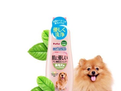 如何为金毛选择适合的沐浴露？