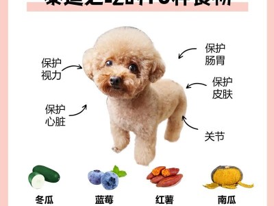 如何让泰迪保持健康的体重？