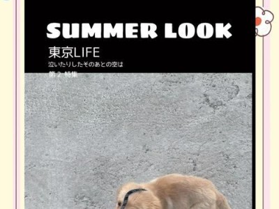 金毛狗的寿命（探究金毛狗的平均寿命及影响因素）