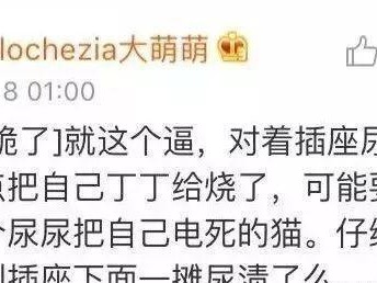 如何正确喂养两个月大的宠物猫？（掌握关键时期的饮食需求，为幼猫健康成长奠定基础）