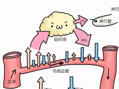 猫腹水的检查方法与意义（探究猫腹水的诊断手段及其重要性）