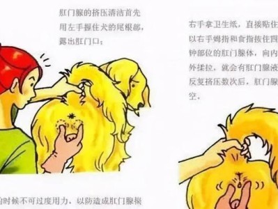 定期清理肛门腺的重要性（探究多久清理肛门腺一次最为适宜）