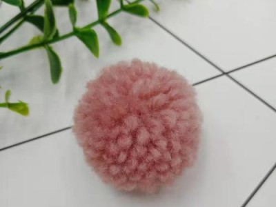 四绒球饲养指南（从选购到喂养，一步步教你养好可爱的四绒球）