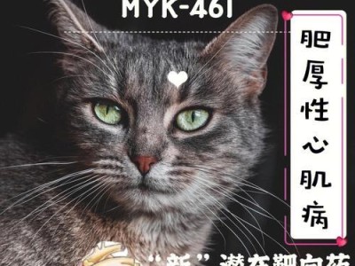 肥厚性心脏病与布偶猫（探寻肥厚性心脏病与布偶猫的关系，了解如何预防和治疗）