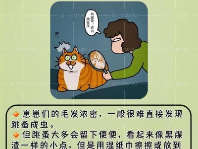 猫咪为何易受跳蚤侵扰？（跳蚤寄生在猫咪身上的原因及解决方法）