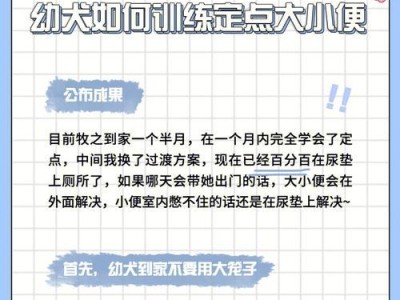 养边境牧羊犬的费用与注意事项（了解养边境牧羊犬所需费用和注意事项，为宠物选择提供指导）