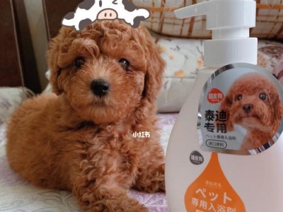 小狗狗洗澡必须选对沐浴露（让宠物健康洁净的选择方法）