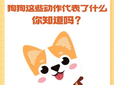 狗狗剩狗粮的原因及处理方法（了解狗狗剩狗粮的原因与解决方案，打造健康的饮食习惯）