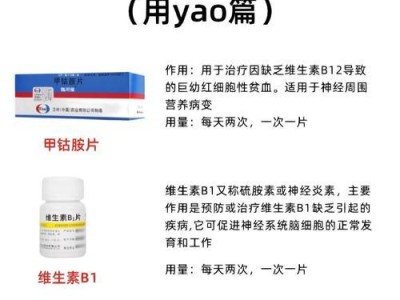 宠物狗如何增强抵抗力？（营养饮食对狗的健康影响）