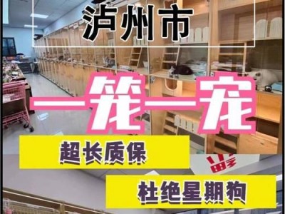 养一只银渐层猫咪需要多少钱？（了解银渐层猫咪的价格和相关费用）