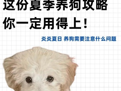 夏日狗狗健康指南（关注狗狗天热问题，让它们度过一个舒适夏天）