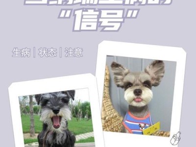 狗的生长过程中何时停止生长？（狗的成长过程和停止生长的关键阶段）