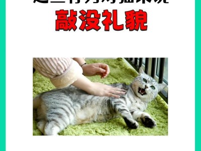 小猫为何讨厌这些行为？（探究小猫的忌讳和喜好）