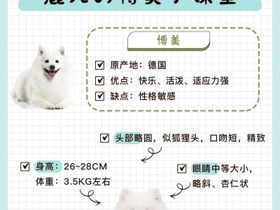 如何养护博美串串犬（了解博美串串犬特点，科学养护它的健康）