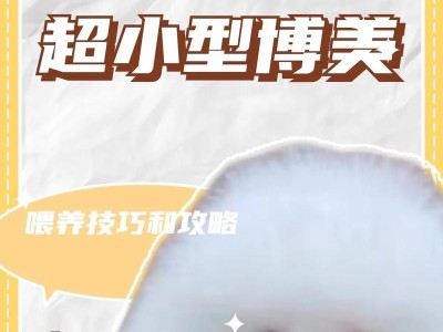 博美饲养攻略（带你了解博美饲养中的疑惑，让你成为合格的博美主人）