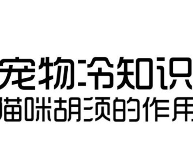 猫的胡须（猫的胡须）