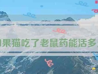 小猫误食耗子药引发的症状与处理方法（保护宠物免受耗子药的伤害，避免悲剧发生）
