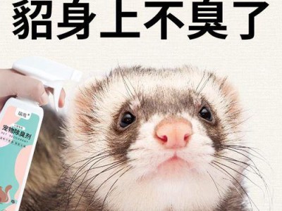 揭秘宠物貂身上的臭味之谜（了解臭味成因和有效的祛除方法）