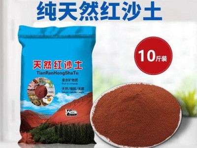 黄泥龟的饲养方法（如何打造舒适的黄泥龟家园？）