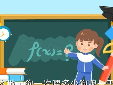 狗子一天吃几顿对身体最有益？（探讨狗狗每日饮食规律以及最佳进食频率）