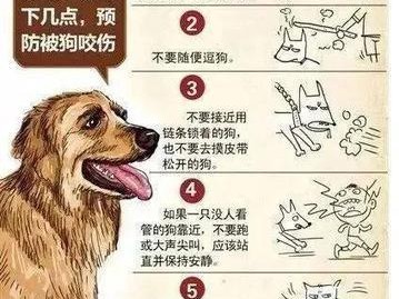 狗为什么会想咬人脚？（探究狗咬人脚行为的原因和解决方法）