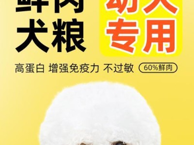 如何正确照顾2个月的边牧狗狗（合理喂养是健康成长的关键）