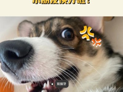 狗狗双排牙问题的解决方法（了解狗狗双排牙的危害与预防方法）
