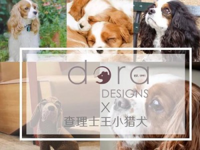 查理士王小猎犬的饲养方法（如何养护你的王小猎犬）
