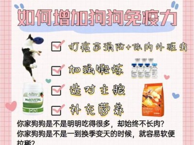 狗胃肠吸收不良问题解决之道（针对狗胃肠吸收不良的治疗药物及注意事项）