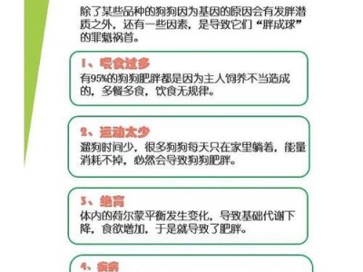 狗狗的标准体重究竟是多少？（了解狗狗的理想体重，让它健康快乐）