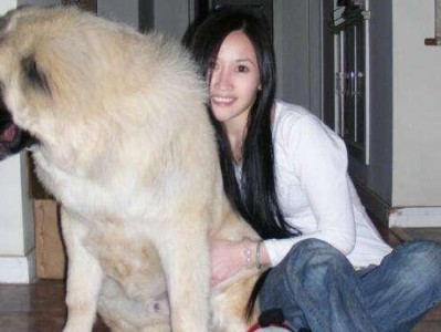 宠物狗能感知女主人的怀孕？（怀孕期间养宠物的影响及注意事项）