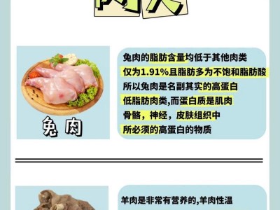 夏日狗狗防火指南（以狗夏天吃什么去火，让你的爱宠远离暑气困扰）