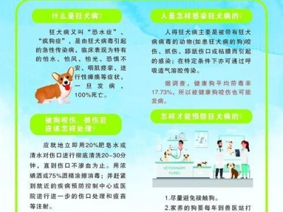 小区文明养狗指南（为了和谐共处，让宠物成为社区一员）