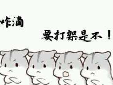 仓鼠为什么会打架？（探究仓鼠打架的原因及解决方法）