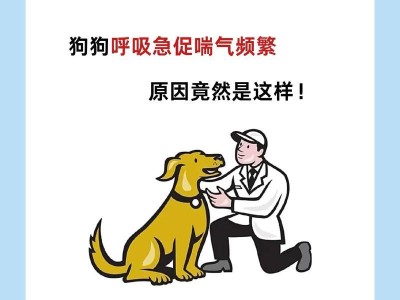 狗狗心脏病的原因及预防措施（揭秘心脏病背后的导致因素，保护您的爱犬心脏健康）