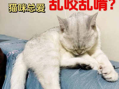 为什么猫需要磨牙棒？（维持口腔健康的关键）