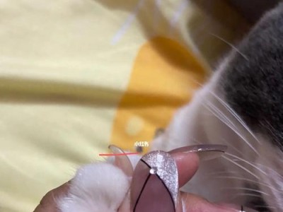 猫咪脱指甲壳的原因及处理方法（猫咪指甲壳整个脱落，这是为什么？如何正确处理？）