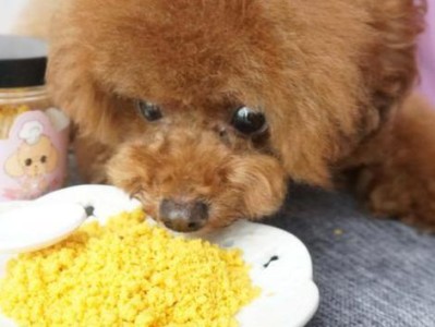 狗狗的美味天堂（探索狗狗与人类共享的美食乐园）