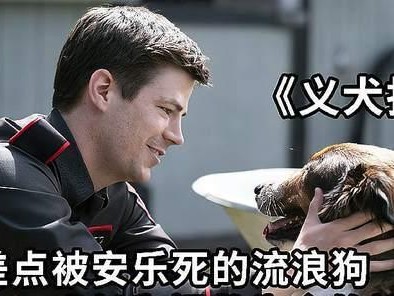 探讨安乐死狗的成分及其伦理问题（以狗安乐死的成分是什么？）