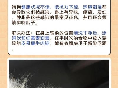 为什么狗狗会频繁舔下面？（狗狗下面舔舐的原因及解决方法）
