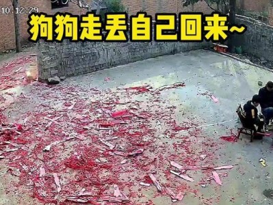 揭秘狗走不失之谜（为什么狗走失的情况较少？）