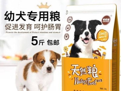 泰迪狗狗的喂食指南（如何给刚满月的泰迪宝宝喂食？）