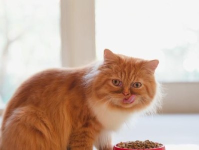 如何给宠物猫定点喂食（营养均衡，健康成长）