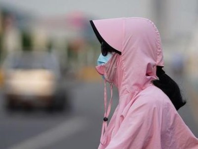 宠物狂躁症预防大全（酷暑高温下，如何保护拉布拉多的健康？）