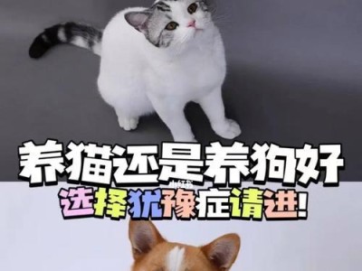 成年狗狗的合理饮食量和饲养方法（如何科学喂养和照顾成年狗狗）