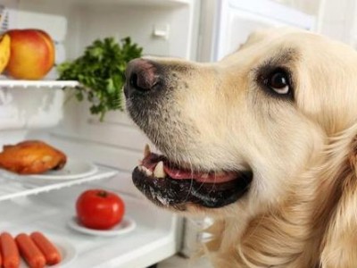 泰迪狗狗的红薯煮熟怎么做（营养美味的狗狗美食/泰迪狗狗的健康食品）